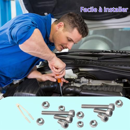 HVDHYY M3 M4 M5 M6 Vis a Tête Cylindrique a Six Pans Creux A2-70 Vis Mécaniques a Tête Hexagonale en Acier Inoxydable Écrous Kit D'assortiment Bouton a Six Pans Creux Avec Boîte Rangement 320pcs – vue 6