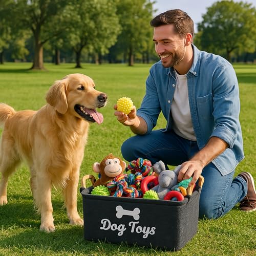 TownTop Aufbewahrungskorb für Hundespielzeug, Filz Aufbewahrungsbox mit Knochenmuster, Spielzeug Korb für Dog Toys, 38x25x18cm, Tiefgrau, Ideal für die Aufbewahrung von H