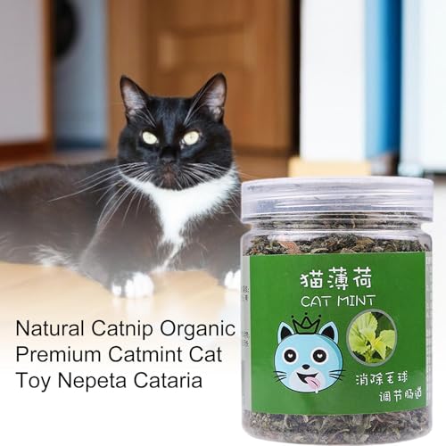 Katzenminze für Katzen, Katzenminzenstäbchen für Kätzchen, Nips für organische Katzen, natürlich, zur Energie und Erregung von Katzen, Training für Katzen mit 20 g und neues Bio-Spielzeug