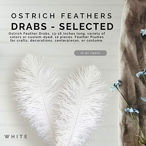 Zucker Ostrich Feathers For Centerpieces- Wedding Decorations- Feathers For Crafts, 12 Pieces, 13-16 Inch, White #TOP6