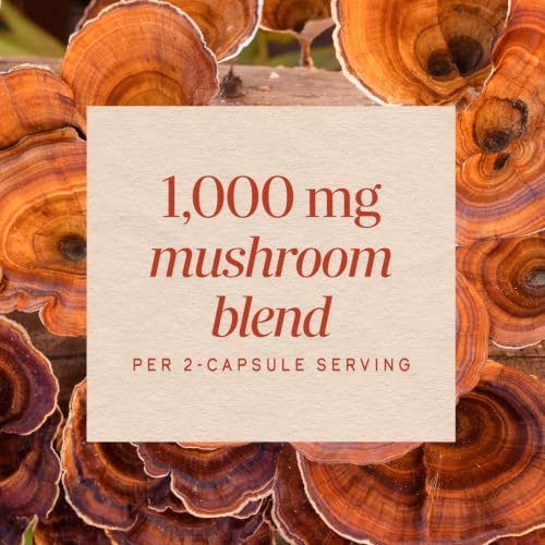 Nature’s Way 5-Mushroom Blend, 1,000 mg Mushroom Blend per Serving, 60 ct - image 4