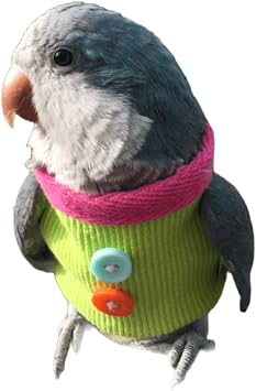 Parrot Bird Supplies, Light Flying Clothes, Suitable for All Seasons Warm and Comfortable for Small Medium Large Bird Green Cheek Parrot Mynah Senegal Parrot Mini Macaw Small,Green