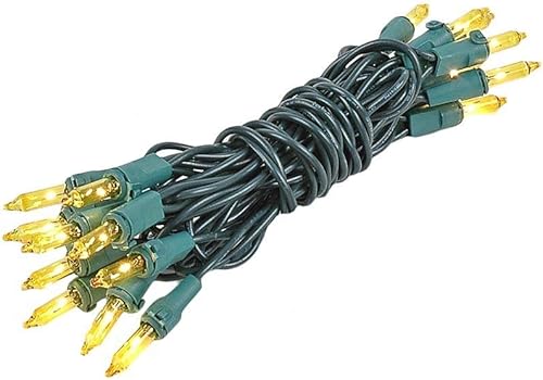 Miniatura 7 de Novelty Lights Juego de 20 mini luces transparentes para manualidades, no conectables, cable verde, 8 pies de largo