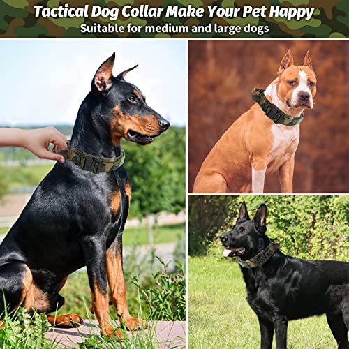 Collare per cani in nylon regolabile classico