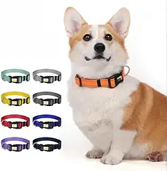 Coleira refletiva ajustável de nylon com fivela para cães grandes, laranja G