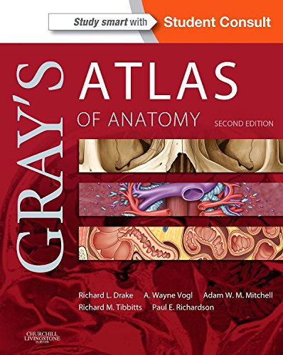 Gray's Atlas of Anatomy, 2e (Gray's Anatomy)