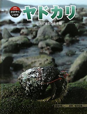 ヤドカリ―しおだまりの生き物 (科学のアルバム・かがやくいのち)