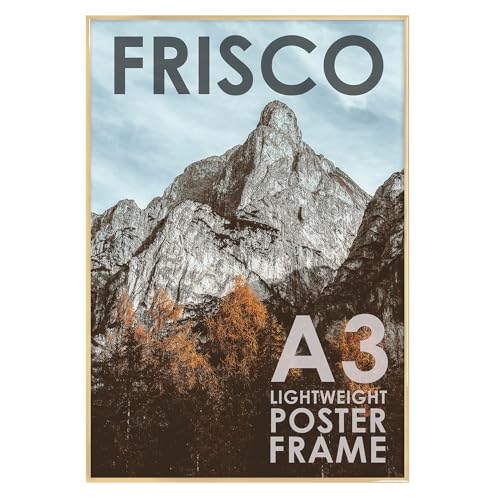 Kenro Frisco Series Gold Photo Frame A3 / 29.7x42cm Wall Hanging with Acrylic Front – FRA3G
