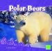 Polar Bears