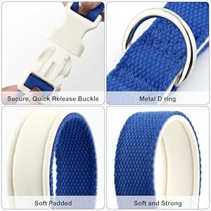 Plutus-Pet-Cotton-Dog-Collar-Heavy-Duty-Collar-with-Soft-Padding-Adjustable-and-Comfortable-for-Small-Medium-and-Large-Dogs-Royal-Blue-L - Cucciolini Doodles   Plutus-Pet-Cotton-Dog-Collar-Heavy-Duty-Collar-with-Soft-Padding-Adjustable-and-Comfortable-for-Small-Medium-and-Large-Dogs-Royal-Blue-L