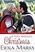 A Very Married Christmas (Loveless and Dunn Series Book 4)
