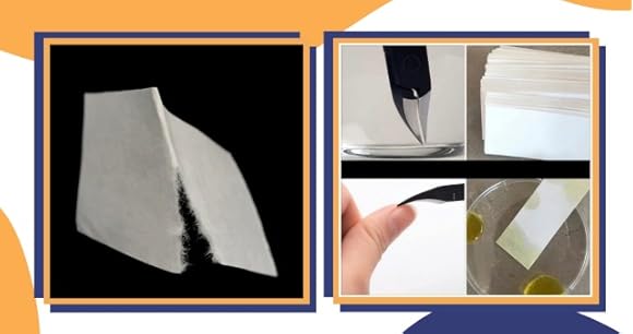 Strips Balacoo 500 - Grade 1 3 X 1 Inches For Laboratories, School, Pigment Separation And Experiments Chromatography Paper