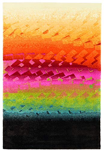 Teppich Florida 230 x 160 Schwarz Multi