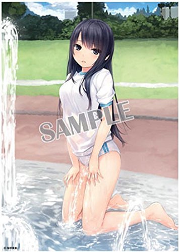 Amazon.co.jp: 珈琲貴族 噴水と白峰さん お風呂ポスター A3