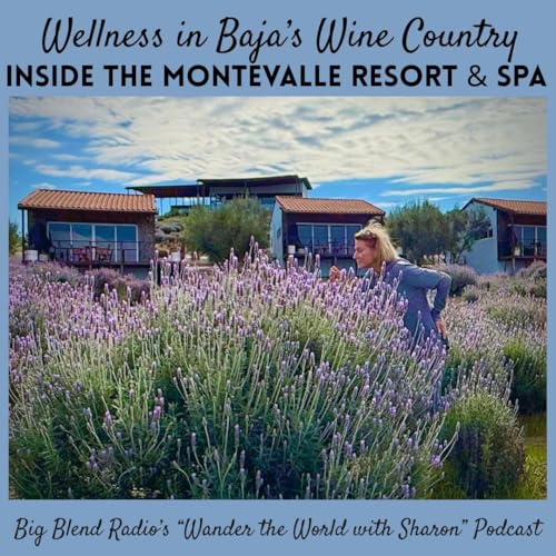 Wellness in Wine Country: Inside the Montevalle Resort & Spa in Baja Podcast By  cover art