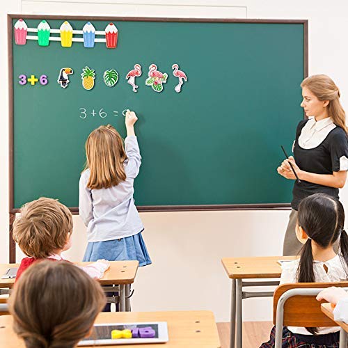 Fenicotteri Calamite Frigo 6 PCS Frigorifero