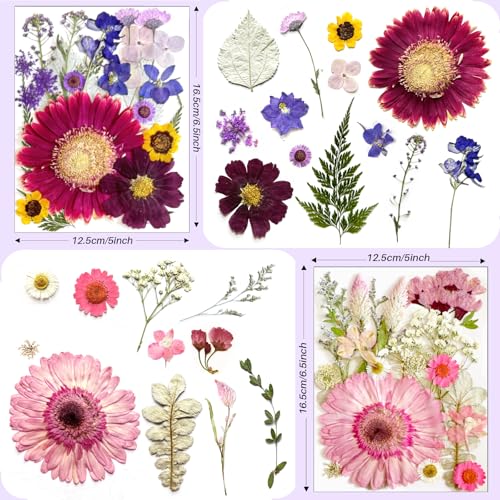 98 piezas flores secas prensadas grandes para resina miniatura 3