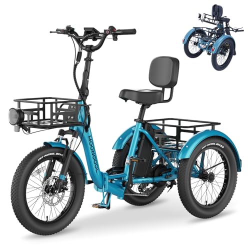 NAIZEA Electric Bike for Adults - 750W(Peak 1100W), 48V 20AH Removable Battery,25MPH Ebike, 20