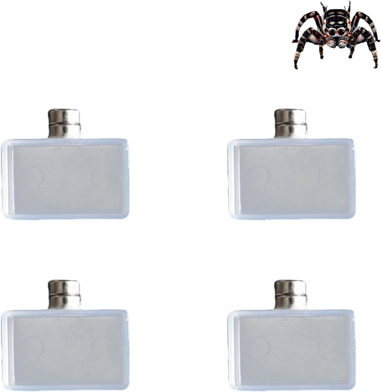 Dnoifne 4er-Pack Winzige Magnetische Wasserschale für Springspinnen & Vogelspinnen – Terrarium Zubehör, Kleine Futterschale für Spinnen und Andere Kleine Haustiere