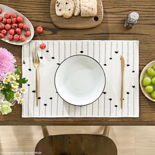 Artoid Mode Black Farmhouse Woven Rustic Placemats Set of 4,12x18 Seasonal Holiday Macrame Burlap Kitchen Dining Table Decoration for Home Party Decor by Artoid Mode - Used condition - Image 2