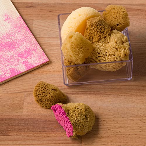 Artist Sponges Natural & Synethic By Craft Smart, 8 Pieces #TOP1