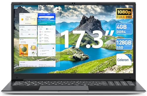 SGIN 17.3 Inch Laptop Computer, Win 11 Laptops with Celeron I3 Processor, 4GB DDR3 128GB SSD, 60800mWh Battery, FHD IPS Display, Type-C, HDMI, 5G WiFi, BT4.2, Numpad, for Business and Students