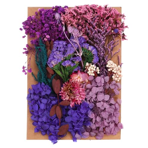 PATIKIL Fiori Secchi Naturali, Piante di Fiori Pressati Secchi Colorati Multipli per Scrapbooking di Candele di Sapone in Resina Artigianale, Viola