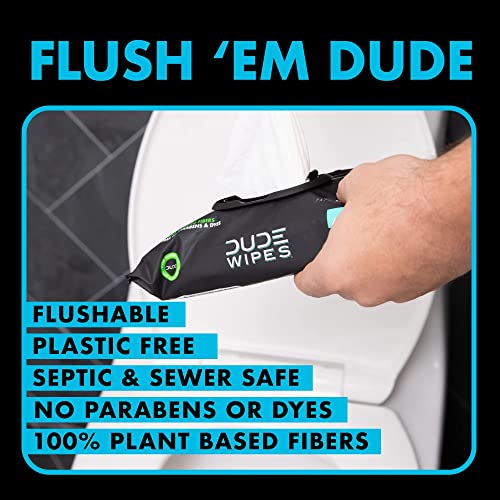 Dude Wipes Flushable Wipes - 12 Pack, 576 Wipes - Unscented & Mint Chill Combo, Extra-Large Wet Wipes With Vitamin-E & Aloe For At-Home Use - Septic And Sewer Safe #TOP4