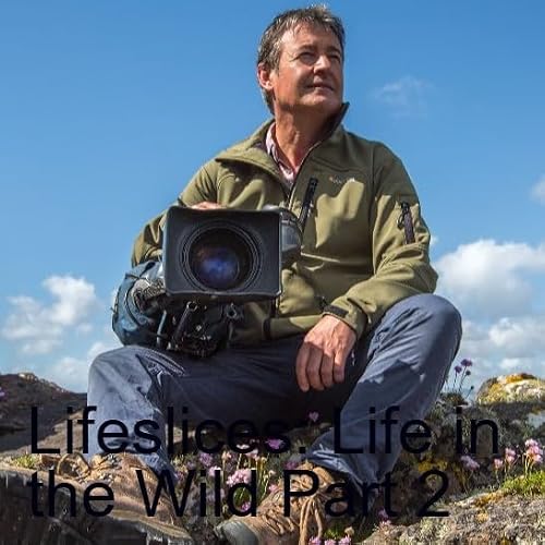 Lifeslices: Life in the Wild Part 2