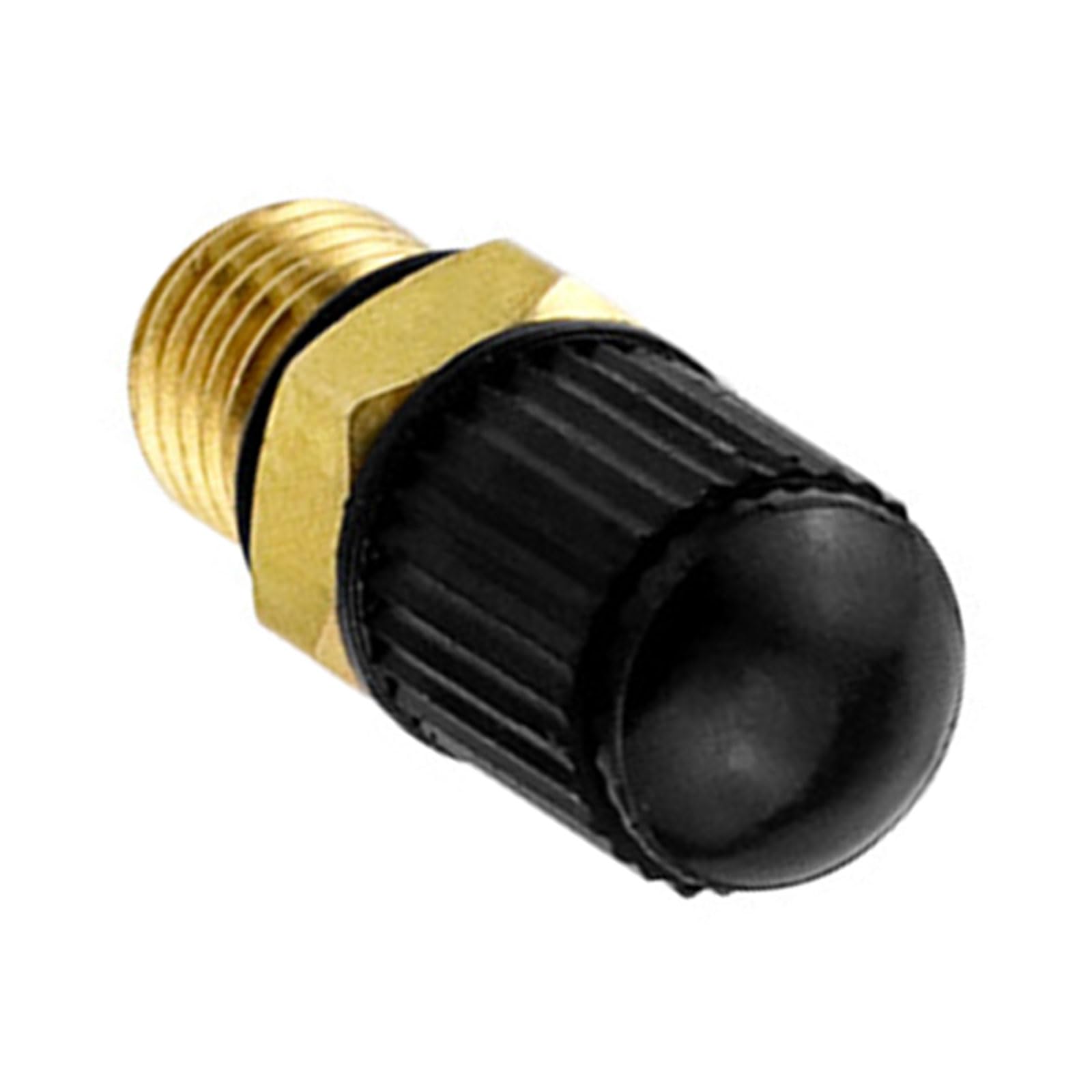 YROHGKPN M8x1 Thread Brass Valves with Built In US Styles Cores Erosion