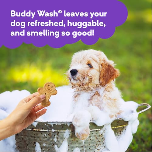 Buddy Wash 2-in-1 Dog Shampoo and Conditioner for Dog Grooming, Lavender & Mint, 16 oz. Bottle - Thumbnail 7