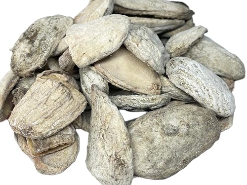 Ambula | Traditional Dried Salty Mango | Sun-Dried Raw Mango Pieces | Authentic Odia Taste | For Curries, Pakhala, Dahi Pakhala & More (400 Gram) | Ewsip