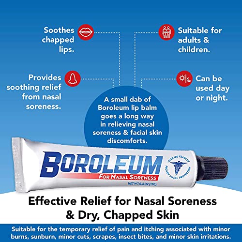 Dry Nose Relief By Boroleum | Nasal Soreness & Stuffy Nose Relief | Medicated Nasal Gel And Nose Moisturizer #TOP2