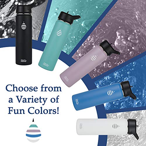Insulated Stainless Steel Water Bottles (Black)