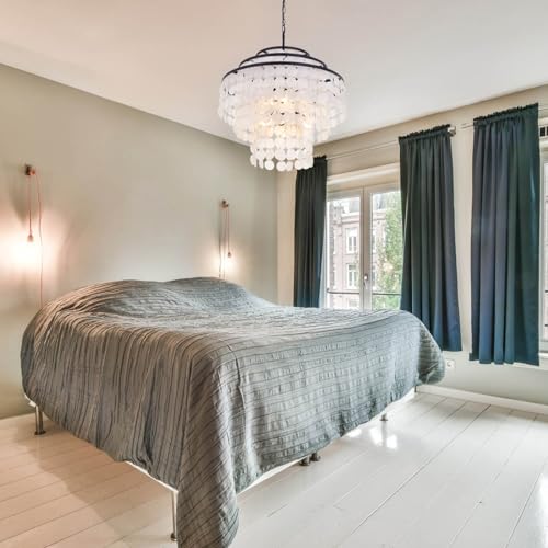 Wellmet 24 Inch Capiz Shell Chandelier, 6 Lights Coastal Bathroom Lighting Fixture, Natural Sea Shell Pendant Lighting for Dining Room, Kitchen Island, Living Room, Bedroom, Foyer, Bedroom Chandelier - Image 4