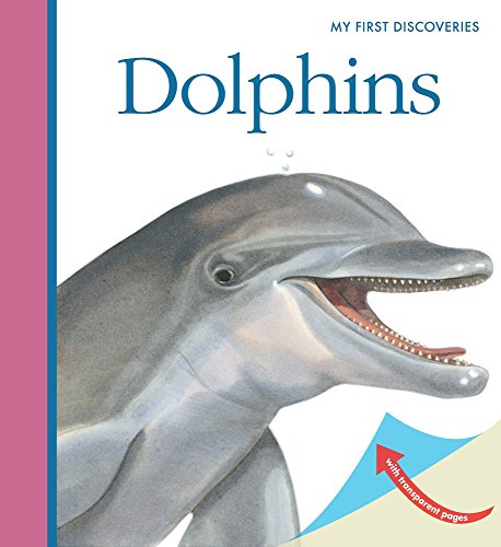 Preisvergleich Produktbild Dolphins (My First Discoveries)