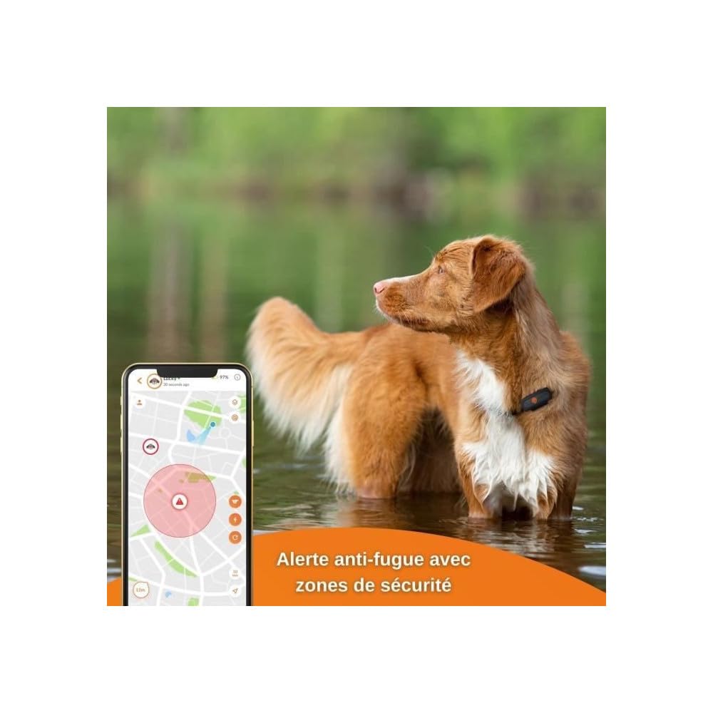 Weenect XS - Collier GPS pour chien (Black Edition 2023) | Suivi GPS en temps réel | Plus petit modèle du marché | Garantie à vie | Fonctionne avec abonnement