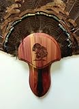 The Taxidermists Woodshop Cedar Laser Engraved Turkey Mounting Kit with Beard Plate -02