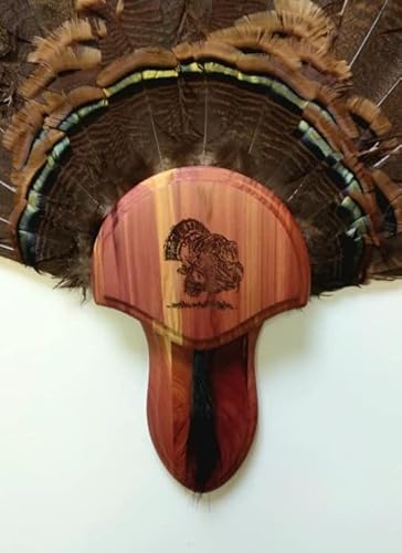 The Taxidermists Woodshop Cedar Laser Engraved Turkey Mounting Kit with Beard Plate -02