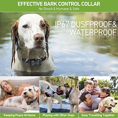 2 Pack Rechargeable Dog Bark Collar, Anti Barking Collar With 5 Sensitivity, No Shock Bark Collar With Vibration&5 Variable Beep, Ip67 Waterproof Smart Bark Training Collar For Large Medium Small Dogs #TOP6