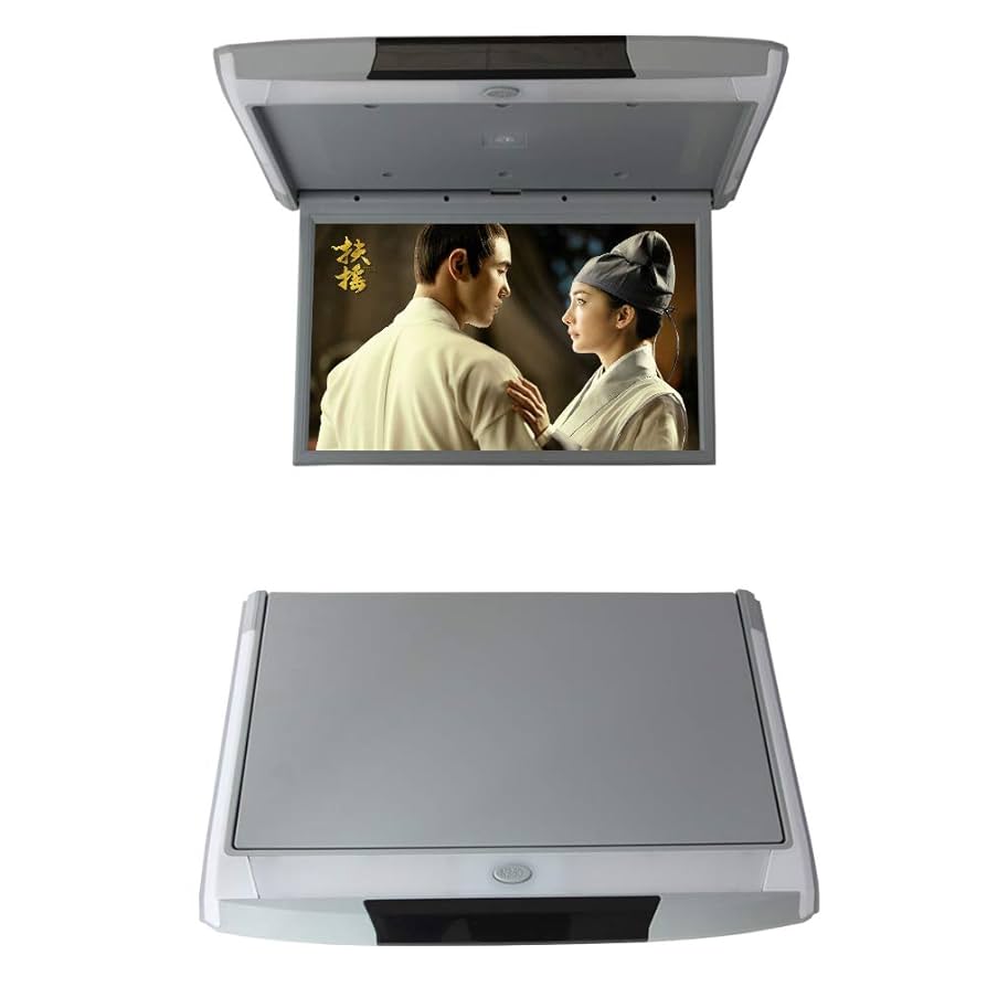 フリップダウンモニター フリップダウンモニターのおすすめ人気ランキング【2025年10月