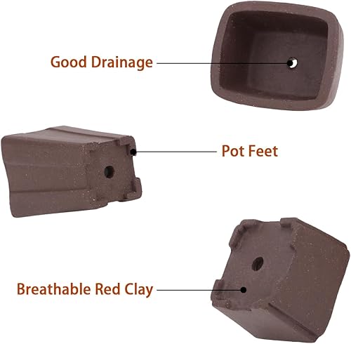 Miniatura 3 de Happy Bonsai Macetas sin esmaltar, 4 unidades, mini suculentas, 2.0 in, color natural