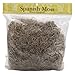 Panacea Spanish Moss, 8-Ounce, Natural