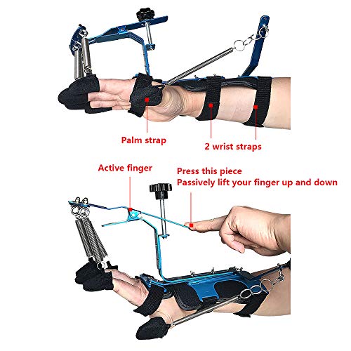 Férula de rehabilitación de Dedos, ortesis de muñeca de Dedo Ajustable, ortesis de Dedo de Entrenamiento de Mano para tendones de Pacientes con hemiplejía de accidente cerebrovascular
