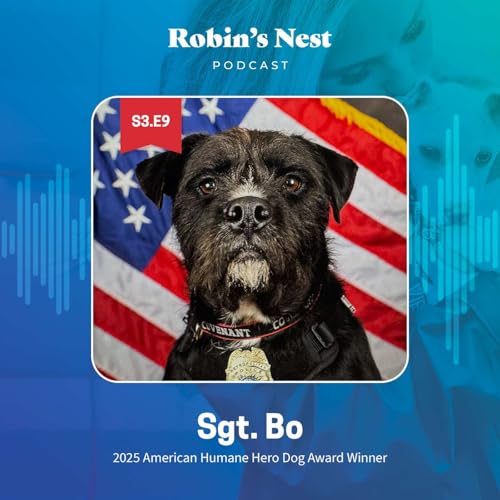 From Stray to Guardian: Sgt. Bo&rsquo;s Story of Healing