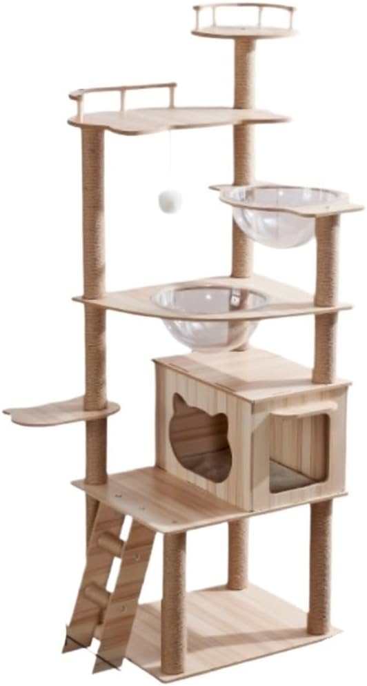 とある猫様せんよう Amazon.co.jp: 猫様とゆとりある日々を : 小言をいう猫: 本