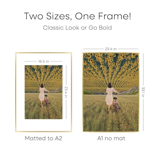 Image of Homeforia A1 Gold Poster Frame, High-End Metal, A2 Mat, Glass | High End Aluminum, Tempered Glass, Acid-Free A2 Removable Mat, A1 Edge-to-Edge Display, Wall Kit, Set Of 1