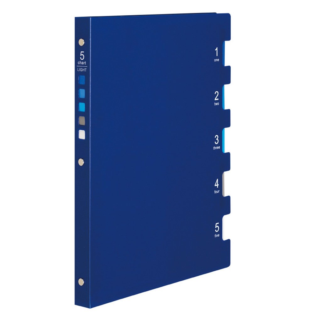 FIVE CHART F115-02 Light A B5 Ring Binder