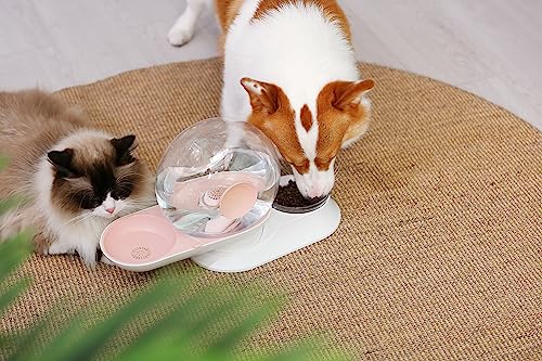 Bebedouro Para Cães e Gatos Automático, Bebedouro com pote para ração, Dispenser de Água Para Pets,