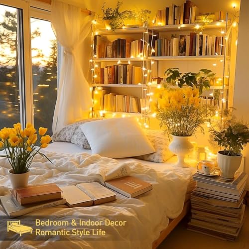 Desidiya HashWOW 60m Warm White LED Pixel String Light Pack of 1 - Image 6